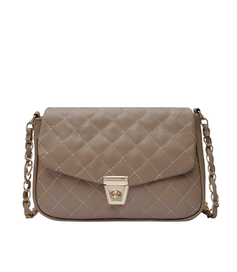 Luxe Crush Baginous Women Beige Shoulder Bag
