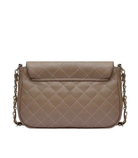 Luxe Crush Baginous Women Beige Shoulder Bag